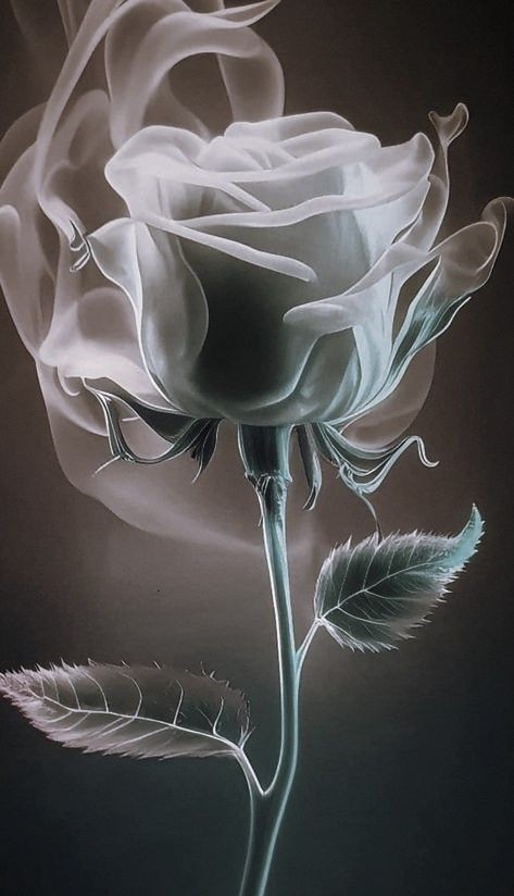 For You I&nbsp;Care…